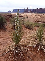 Monument valley (23).JPG